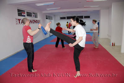 taekwondo kwon training